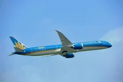 Vietnam Airlines aircraft (Photo: VNA)