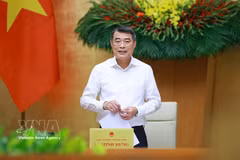 Prime Minister Le Minh Hung speaks at the Government’s regular meeting for May on June 3. (Photo: VNA)
