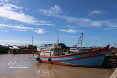 Fishing vessels anchored at Dinh An Fishing Port in Dai An commune, Vinh Long province. (Photo: VNA)
