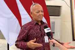Professor Hasil Sembiring, Special Advisor to the Indonesian Minister of Agriculture on Production Enhancement, in an interview with the Vietnam News Agency. (Photo: VNA)