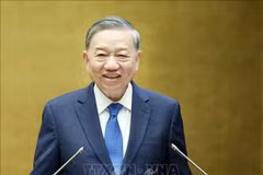 Party General Secretary To Lam speaks at the national conference in Hanoi May 18 on the dissemination and implementation of Resolutions 66 and 68. (Photo: VNA)