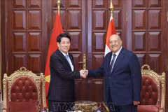 Vietnamese State President Luong Cuong (L) meets with President of the Egyptian Senate Abdel-Wahab Abdel-Razeq. (Photo: VNA)