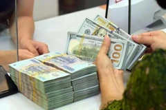 The State Bank of Vietnam sets the daily reference exchange rate at 25,132 VND/USD on January 19. (Photo: VNA)