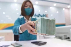 A series of banks are approved to raise capital worth thousands of billions of Vietnamese dong. (Photo: VNA)