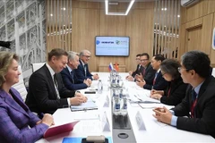 At the working session between Deputy Prime Minister Bui Thanh Son and Novatek's representatives. (Photo: VNA)
