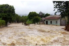 Flooding in central Nghe An province (Photo: kinhtedothi.vn)