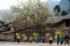 By 2030, Vietnam strives to raise average income of ethnic minority people to at least half of the national average. (Photo: VNA)