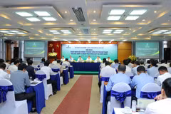 An overview of the meeting (Photo: VNA)