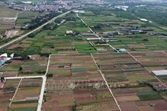 In the afternoon sitting, lawmakers will listen to a proposal and a verification report on the NA’s draft Resolution stipulating certain mechanisms and policies to solve difficulties and obstacles in the implementation of the Land Law. (Illustrative photo: VNA)