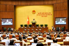 An overview of the 16th National Assembly's first extraordinary session. (Photo: VNA)