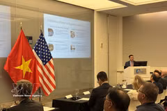 Tuyen Do, Founder and Managing Partner of TVD Capital Partners, shares fundraising experience with Vietnamese enterprises. (Photo: VNA) 