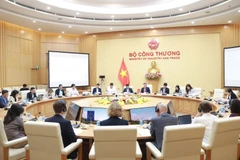 An overview of the 4th meeting of the EU-Vietnam Sustainable Energy Transition Programme (SETP) Steering Committee (Photo: VNA)