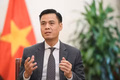 Deputy Foreign Minister Dang Hoang Giang (Photo: Ministry of Foreign Affairs)