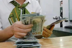 The State Bank of Vietnam set the daily reference exchange rate for the US dollar at 24,973 VND/USD on May 14. (Photo: VNA)