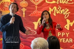 An art performance at the event (Photo: VNA)