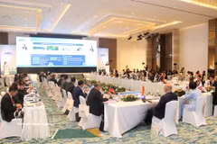 The 3rd Roundtable on Climate and Water Issues and the 9th Meeting of the Asian Parliamentary Assembly Water Consultative Council (AAWC) in Vientiane on July 28. (Photo: VNA)