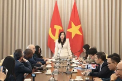 Deputy Minister of Foreign Affairs Le Thi Thu Hang welcomes journalists and updates them on a number of achievements Vietnam has attained in recent years. (Photo: Ministry of Foreign Affairs)