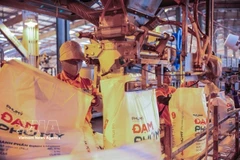 A packaging line at the PetroVietnam Fertiliser and Chemicals Corporation (Phu My) (Photo: VNA)