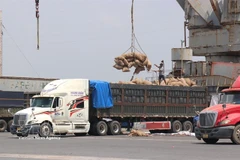 Saigon Port’s Hiep Phuoc terminal in Ho Chi Minh City has seen vessel schedules frequently adjusted in recent days as Middle East tensions disrupt global shipping routes. (Photo: VNA)