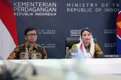 Deputy Minister of Trade Dyah Roro Esti Widya Putri (R) speaks in a meeting on the ASEAN Trade in Goods Agreement (ATIGA) Upgrade in Jakarta on May 9. (Photo: VNA). 