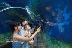 Visitors explore marine ecosystems and sea life at the Nha Trang Institute of Oceanography Museum in Khanh Hoa province. (Photo: VNA)
