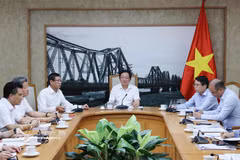 Deputy Prime Minister Ho Quoc Dung chairs the meeting in Hanoi on July 31 to discuss the establishment of a high-tech park in the northern province of Hung Yen. (Photo: VNA)