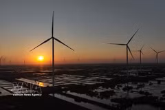 A wind farm in Ca Mau province (Photo: VNA)