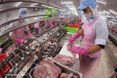 Agro-forestry-fishery exports are estimated at 6.02 billion USD in March, marking a sharp 47.8% increase compared to the previous month. (Photo: VNA)