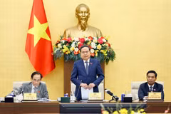 National Assembly Chairman Tran Thanh Man speaks at the meeting with leaders of the Ministry of Foreign Affairs, Vietnamese ambassadors and heads of representative missions abroad. (Photo: VNA)