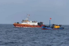 Illustrative image (Photo: VNA)