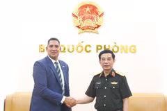 Deputy Prime Minister and Minister of National Defence General Phan Van Giang (R) receives Swedish Ambassador Johan Ndisi (Photo: baochinhphu.vn)