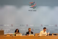 The Presidium at the recent formal meeting of the Committee of Participants on the Expansion of Trade in Information Technology Products. (Photo: VNA)