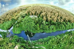 Remote sensing technology used to monitor and verify forest carbon credits in Vietnam. (Photo: Department of National Remote Sensing) 