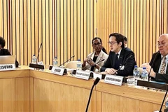 Ambassador Do Hung Viet (second from right), Permanent Representative of Vietnam to the United Nations and President-designate of the 11th Review Conference (RevCon11) of the Treaty on the Non-Proliferation of Nuclear Weapons (NPT), speaks at the African Regional Consultation. (Photo: VNA)