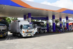 Container trucks purchase fuel at Petrolimex Station No. 111 in My Tho commune, Dong Thap province. (Photo: VNA) 