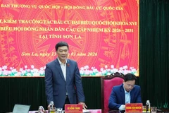 NA Vice Chairman Vu Hong Thanh speaks at the working session with the Election Committee of Son La province on January 13. (Photo: VNA)