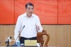 Prime Minister Le Minh Hung speaks at the working session with the Standing Board of the Can Tho municipal Party Committee. (Photo: VNA)