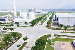Phu My 3 Specialised IZ in Ba Ria-Vung Tau province. (Photo: baobariavungtau.com.vn)