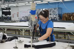 A worker at the factory of the TNG Investment and Trading Joint Stock Company in the Song Cong I Industrial Park, Thai Nguyen province. (Photo: VNA)
