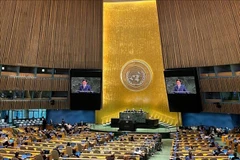Ambassador Do Hung Viet, Permanent Representative of Vietnam to the United Nations, speaks at the high-level international conference for the peaceful settlement of the question of Palestine and the implementation of the two-state solution. (Photo: VNA)