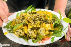 Snail dishes are attractively prepared, drawing the attention of diners. (Photo: dantri.com.vn)
