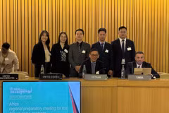 The Vietnamese delegation attends the African Regional Preparatory Meeting for the 15th UN Congress on Crime Prevention and Criminal Justice. (Photo: VNA)