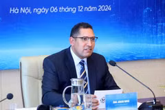 Swedish Ambassador to Vietnam Johan Ndisi (Photo: VNA)