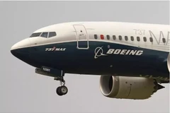 A Boeing 737 Max jet (Photo: AP)
