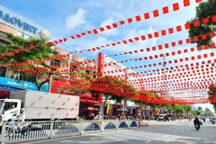 A section of Nguyen Hue Street in Cao Lanh ward, Dong Thap province decorated in celebration of the 14th National Party Congress. (Photo: dongthap.gov.vn)