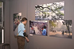 A visitor admires photos by Nicolas Cornet at the “Hanoi Oi” exhibition – an event held in conjunction with the launch of the book of the same name. (Photo: VietnamPlus)