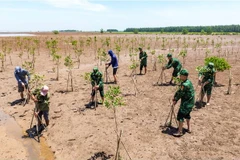 Vietnam has consistently implemented proactive solutions to respond to climate change. (Photo: Nguyen Xuan Truong)