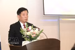 Vietnamese Ambassador to the RoK Vu Ho speaks at the seminar. (Photo: VNA)