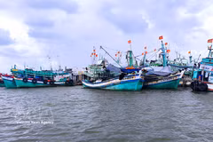 Located at Vietnam’s southernmost tip, Ca Mau possesses more than 310km of coastline and a fishing fleet of over 5,000 vessels. (Photo: VNA)