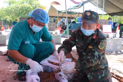 Biological samples are collected from the remains of unidentified fallen soldiers at the Pho An Martyrs' Cemetery in Tra Cau ward, Quang Ngai province. (Photo: VNA)